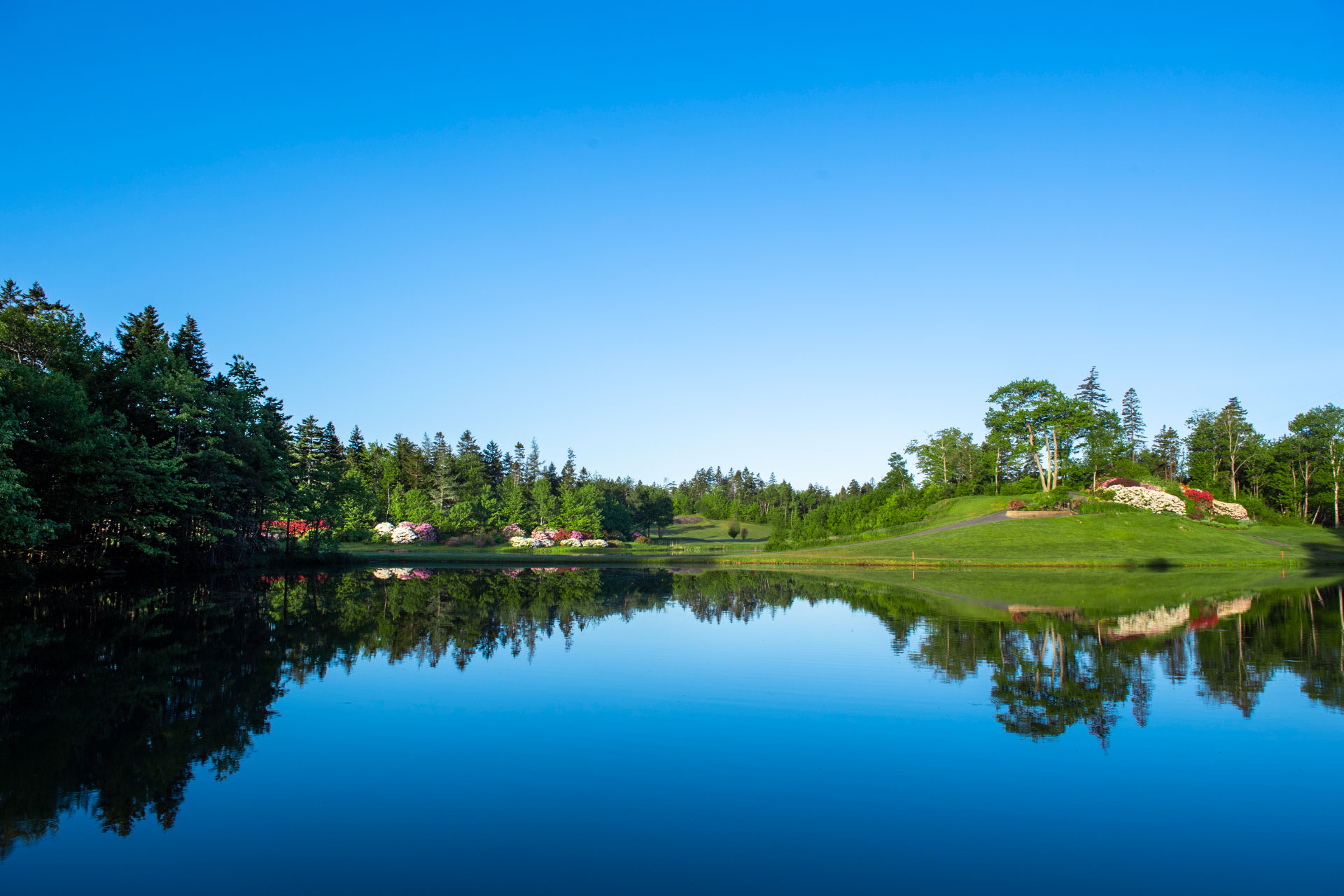 Old-Course---10-Pond-2019_A-serene-pond-surrounded-by-lush-trees-Ashburn-GC